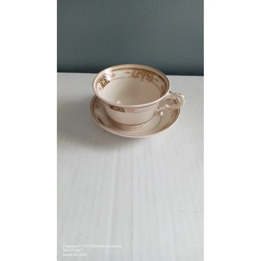 Vintage Tea Cup and Saucer Set, Elegant Floral Design, Collectible